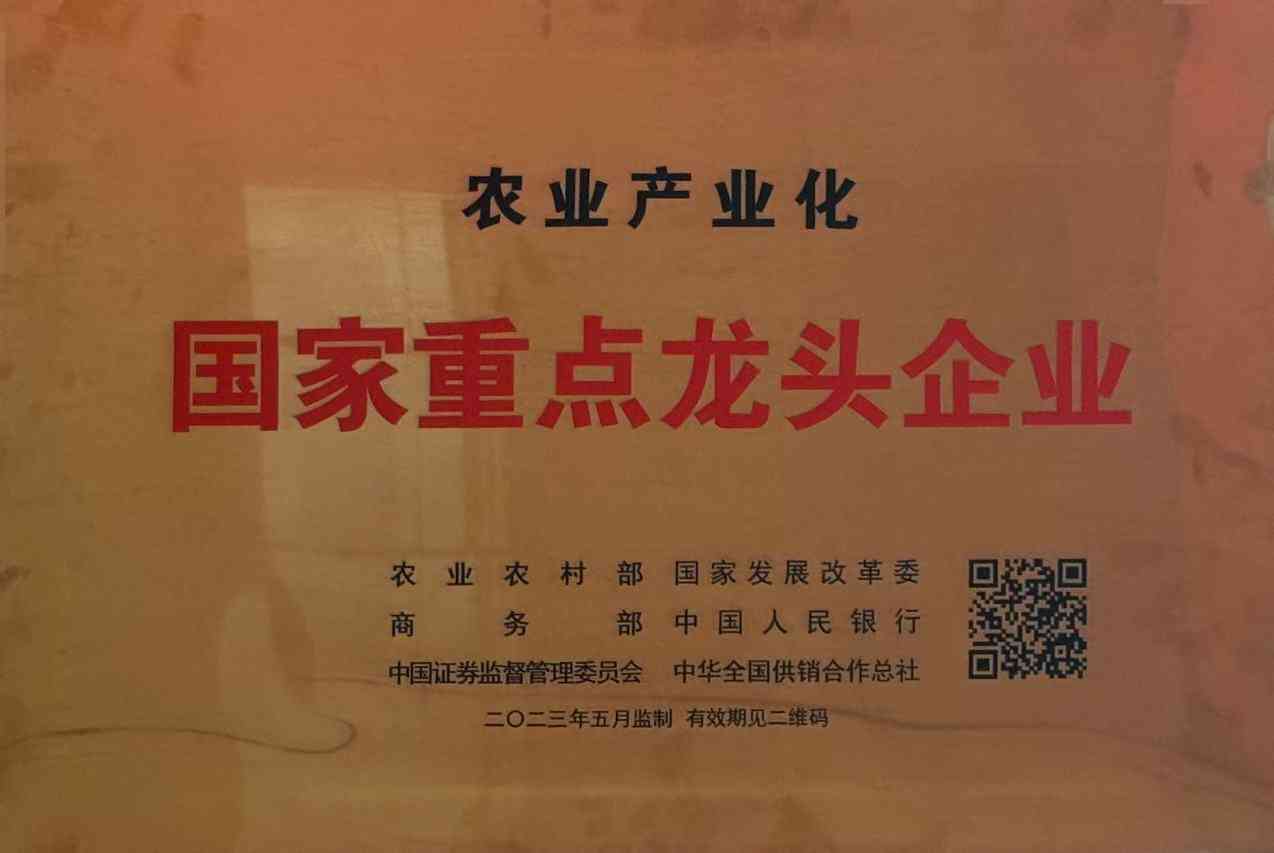 新疆太阳成tyc7111cc（集团）股份有限公司荣誉简介